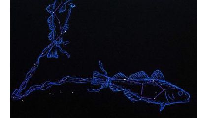 处女座是星座中排第几（双子座在12星座排第几）