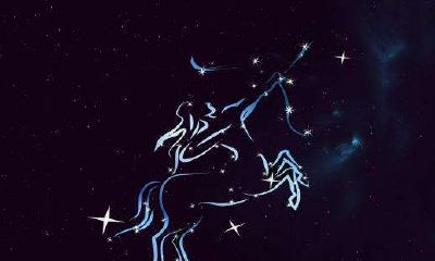 射手座会不会主动追求（射手座主动联系前任）