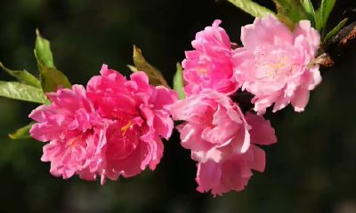 梦到跟男友吵架分手（经常梦到和男朋友吵架分手）