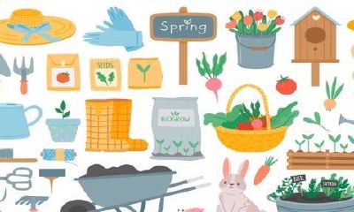 农牧林草公司起名（农业公司取名字参考大全）