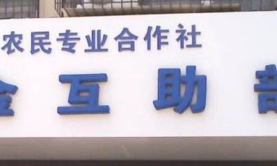 农业公司取名（公司取名字大全免费查询）