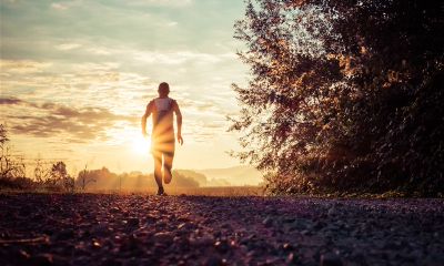 双鱼座的人是怎么来的（双鱼座是一个怎样的人）