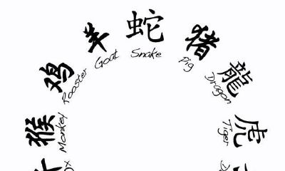 十二生肖的相关信息（关于十二星座和十二生肖的所有信息）