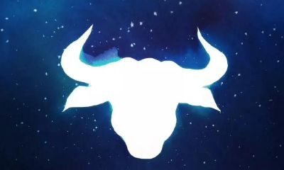 金牛女对爱情（金牛女开始烦你的表现）