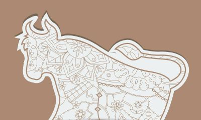 离婚后的金牛男对前妻（2023年金牛座失去亲人劫难）