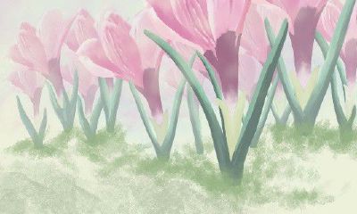 属鼠人今天幸运色（属鼠今天适合打牌不）