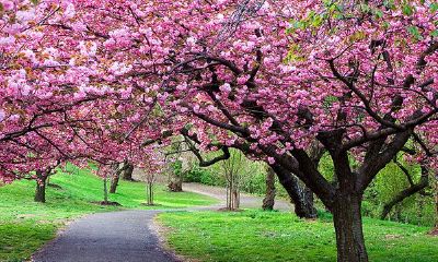 白羊座8月29日爱情运势（白羊座9月29日运势）