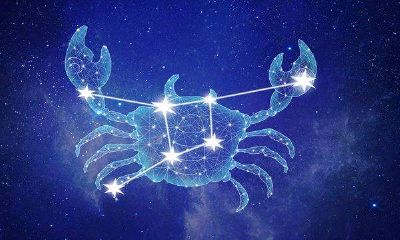 双子女爱钱吗（能虐到天蝎男你就赢了）