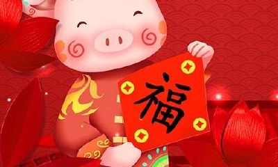 生肖属猪的运势（属猪人流年运势运程）