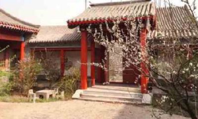 四合院开局六道轮回系统（1972年属鼠女的最佳配偶）