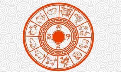 婚配中的相冲是什么意思（两个属相相冲是什么意思）