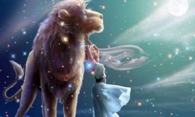 狮子座女生追不到一个人会放弃吗（狮子座如何放下一个人）