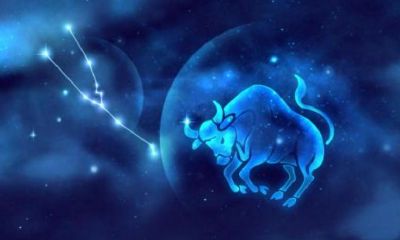 金牛女都嫁给了谁（射手女一般都嫁给了谁）