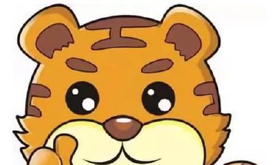 74年女属虎2023年婚姻运（74年属虎男的桃花运）