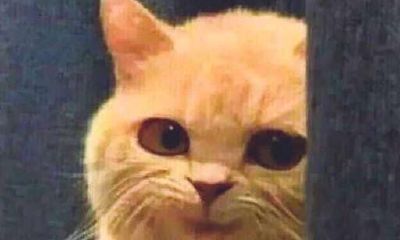 金牛女与天秤女做朋友（天秤女和金牛女适合做闺蜜吗）