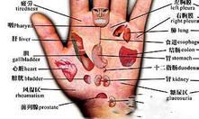 中国手相全解（男女手相图解大全）