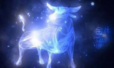 金牛座男生喜欢主动的女生还是不主动的（金牛男被哪种女生吃定）