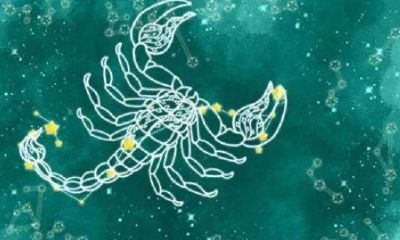 天蝎座试探你的时候该怎么办（天蝎座如何试探一个人）