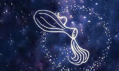 二月生日的星座是哪个星座（2月19日是什么星座）