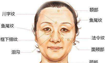 法令入口面相图（法令纹入口的女面相）