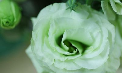 大运来之前的四个征兆（大运交接时有什么预兆）