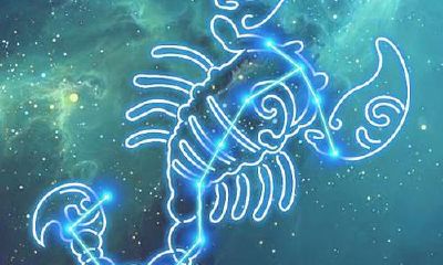 天蝎座的怎么样（6月份是什么星座）