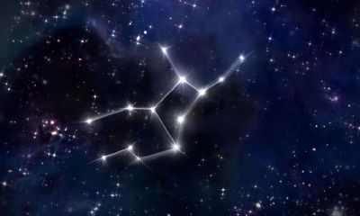 最不敢惹哪三个星座（十二星座哪个星座最不好惹）