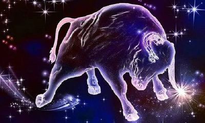 金牛座男生自恋吗（金牛座男生性格怎么样）