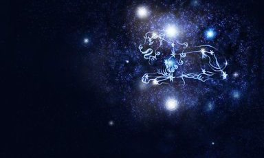 狮子座会轻易说爱一个人吗（如何让狮子座主动找你）