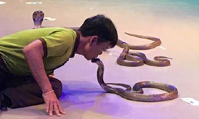 梦到有条蛇在我身上（梦见蛇从我身上爬过）