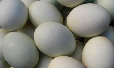 周公解梦大全查询梦见鸭蛋鹅蛋（周公解梦梦见鹅蛋是怎么回事）