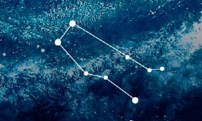 双子座女生有什么缺点（双鱼座为什么颜值都那么低）