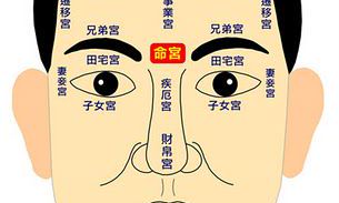 命理学名词有哪些（带木子的命理学名词）