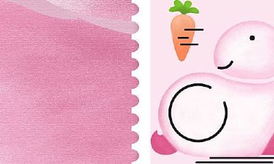 女的属兔男的（属兔的男人的最佳配偶）