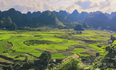 白羊座与双子座的爱情配合度（双子座和天秤座配吗）