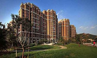 租房放什么植物招财（家里放什么东西招财转运啊）