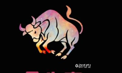 金牛座有什么特点呢（金牛座代表什么意思）