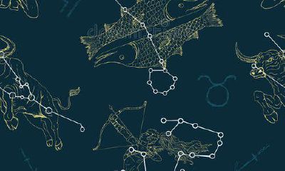 双鱼座金牛座友谊（双鱼座和金牛座哪个好）