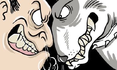 属虎的与到属蛇的（属蛇和属虎谁强谁弱）