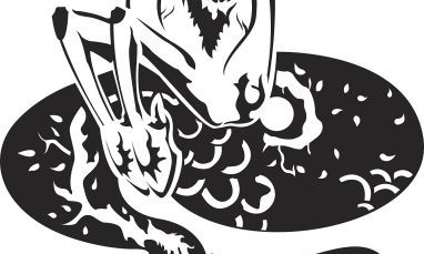 谁和摩羯座最配（摩羯男和狮子女合适吗）