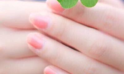 属猴的意思五行属什么（92年属猴金命是什么意思）