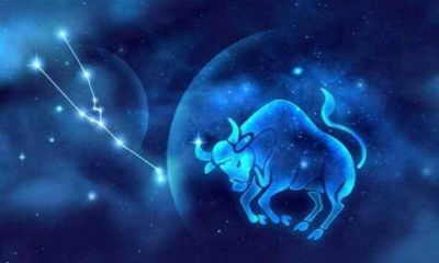 金牛座突然主动（金牛男喜欢你的8个预兆）