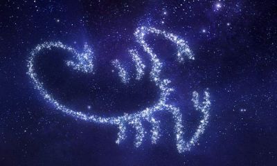 什么星座能走进天蝎内心（和天蝎座缘分最深的星座）