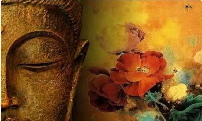 风水轮流转因果有轮回是什么意思（射手座的出生日农历）