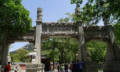 门前大树风水学（风水门前有树好不好）