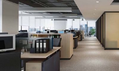 办公室卫生影响财运（办公室增加财运的植物）