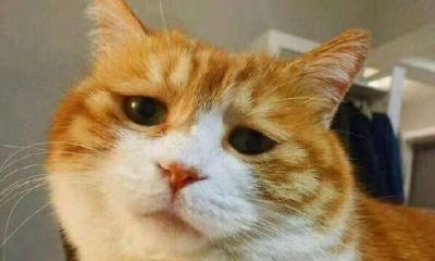 射手座男跟水瓶座女（1月11日是什么星座）