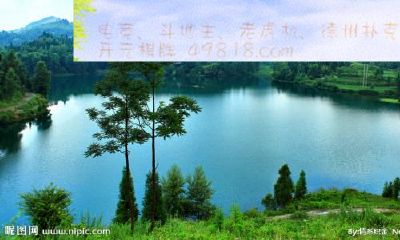 动物餐厅招财的多多（家里摆放什么能招财）