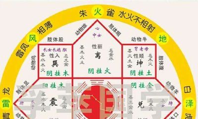 铌字取名的寓意女孩（属虎的女孩名字大全带金）