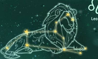 狮子座是哪年的（2023年狮子座多少岁）